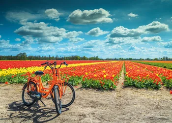  Radreise Holland - Das Land der Radfahrer